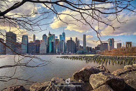 Manhattan Framed by Nature