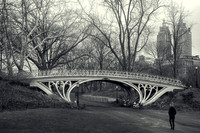 The Gothic Bridge in Central Park