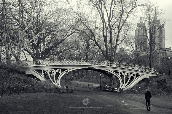 The Gothic Bridge in Central Park