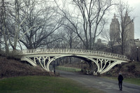 The Gothic Bridge in Central Park