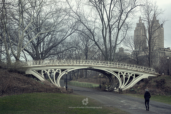 The Gothic Bridge in Central Park