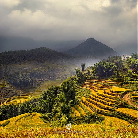 Hillside Rice Terraces