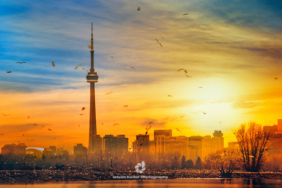 Toronto - 2008