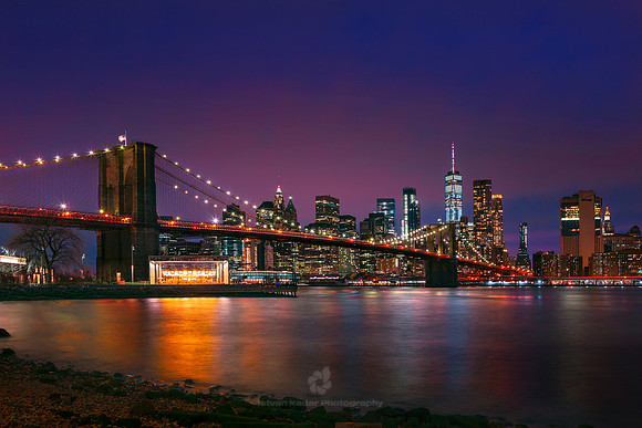 Night Lights