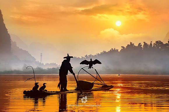 Silhouette of the Cormorant Fisherman II