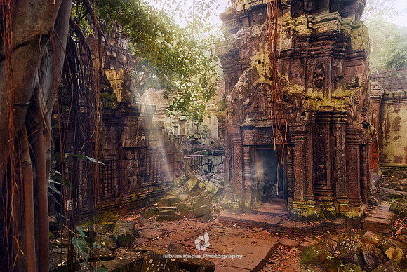 The mystique of Angkor - Ta Prohm
