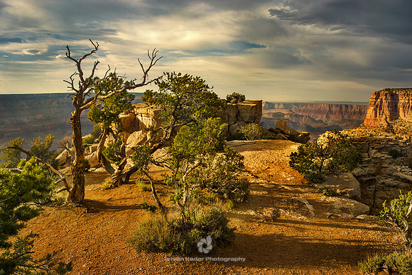 "Grand Canyon National Park", "Grand Canyon", Awe, Majestic, Sunset, Arizona, Cloudscape, Sunlight, "No People", Horizontal, "Beauty In Nature", "Colour Image", "Elevated View", Mountain, "Mountain Ra