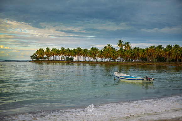 Caribbean Paradise