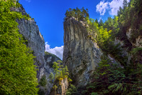 Rock Trees, Bicaz Gorges, Eastern Carpathians, Transylvania