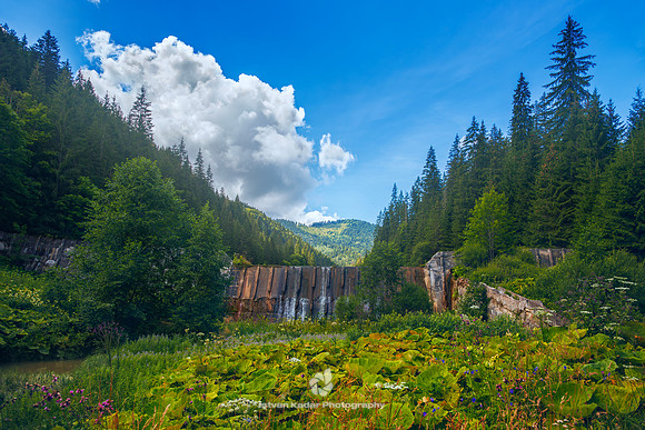 Old Dam, Eastern Carpathians, Transylvania