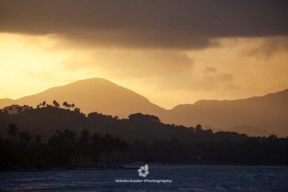 Bay, Beach, Caribbean, "Caribbean Sea", Coastline, "Coconut Palm Tree", Day, "Dominican Republic", Idyllic, Island, Landscape, Nature, Ocean, Outdoors, "Palm Tree", Peninsula, "Playa Aserradero", Reef