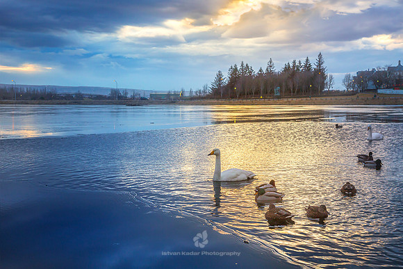 Sunset over Tjornin Lake, Reykjavik