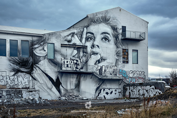 Graffiti by Guido van Helten, Reykjavik