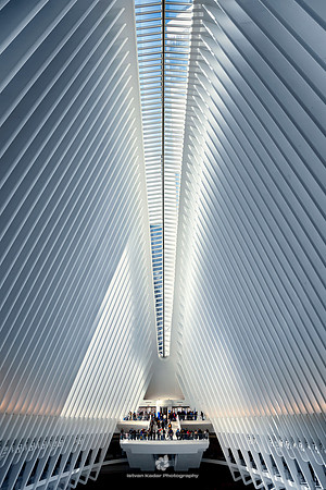 The Oculus - New Westfield World Trade Center Mall, NYC