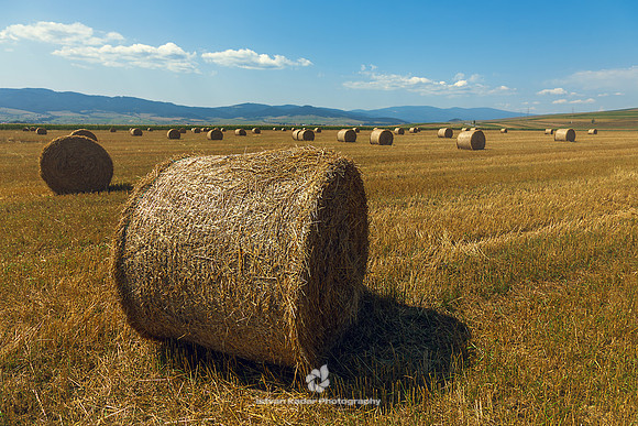 Hay Bales, Transylvania