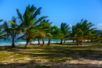 Bay, Beach, Caribbean, "Caribbean Sea", Coastline, "Coconut Palm Tree", Day, "Dominican Republic", Idyllic, Island, Lagoon, Landscape, Nature, Outdoors, "Palm Tree", Peninsula, "Playa Rincon", Reef, "