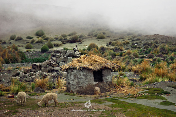 Little Mud-hut in the Andes