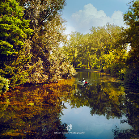Late Summer Day