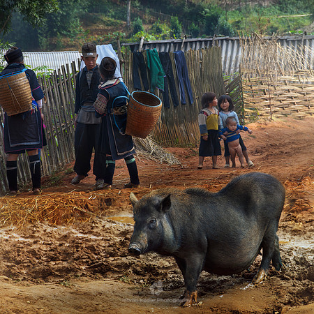 Black H'mong Hill Tribe