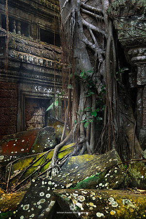 Roots over Stones