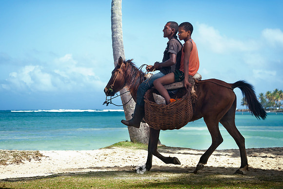 In the Saddle