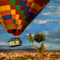 Flight to Fairyland