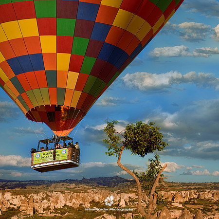 Flight to Fairyland