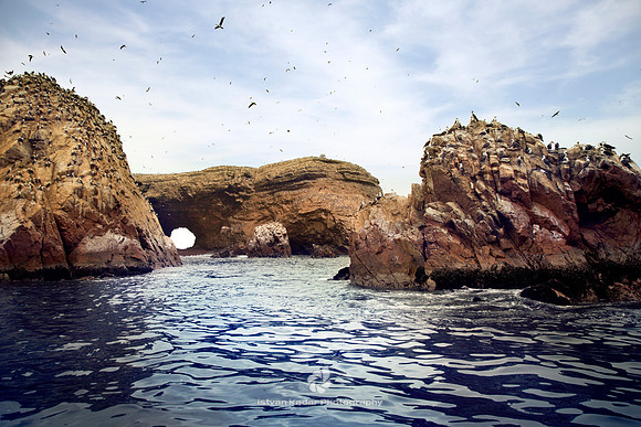 Islas Ballestas
