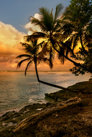 DOMINICAN REPUBLIC