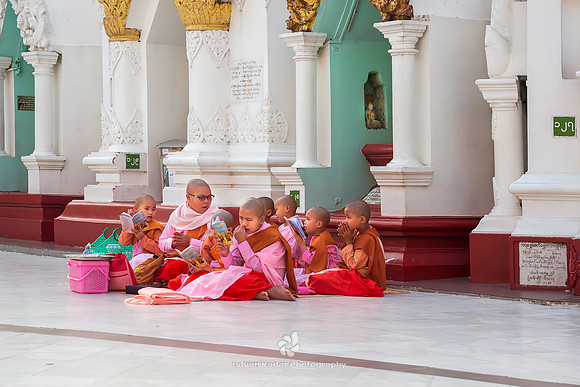 Studying Thilashin Girls, Shwedagon Pagoda, Yangon, Myanmar