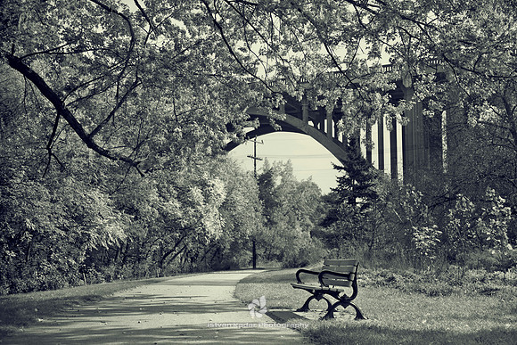 Lonely Bench - 2011