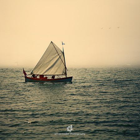 Foggy Day on the Lake - 2011