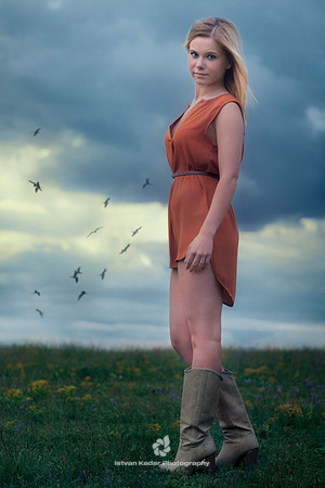 beauty, birds, boots, clouds, dress, field, flowers, girl, nature, portrait, pretty, spring, stand, turn, wind, woman