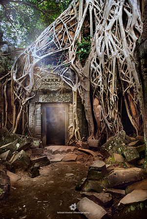 Amalgamation of Nature and the Temple of Ta Prohm