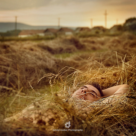 Languorous Summer Day