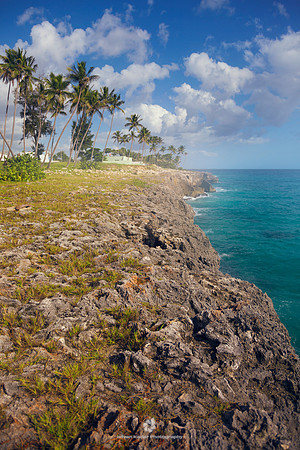 Vertical, Beach, Day, Rock, Reef, Cliff, Island, Landscape, Sky, "Atlantic Ocean", Sea, "Water's Edge", Wave, Water, Plant, Tree, Palm Tree, Beauty In Nature, Coastline, "Dominican Republic", Headland