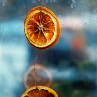 Redolence of the Winter Holidays