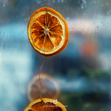 Redolence of the Winter Holidays