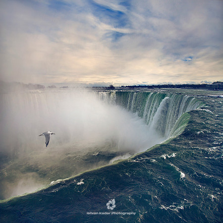Horseshoe Falls - 2011