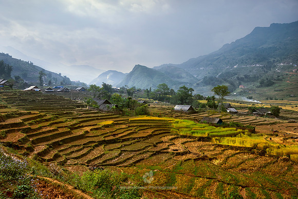 "Hoang Lien Nature Reserve", "Hoang Lien Son", "Lao Cai Province", Sapa, Vietnam, landscape, rice, "rice field", "rice terraces", "terraced fields", village, houses