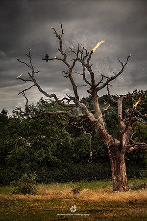 The Death Tree
