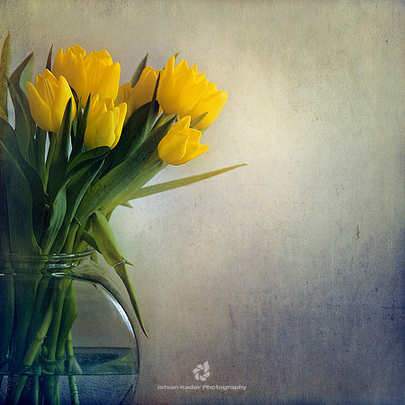 Absence of Complication