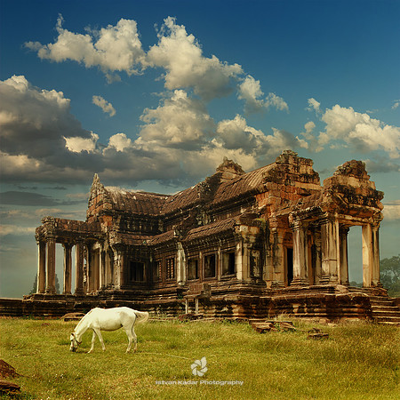 The White Horse of Angkor