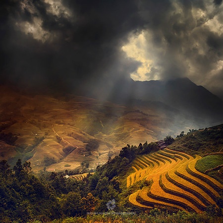 Stormy Eden