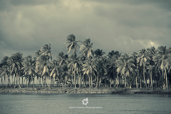 "Barrier Island", Bay, Beach, Caribbean, "Caribbean Sea", Coastline, "Coconut Palm Tree", Day, "Dominican Republic", Idyllic, Island, Lagoon, Landscape, Nature, Ocean, Outdoors, "Palm Tree", Peninsula