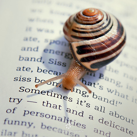 Sometimes it's all about...