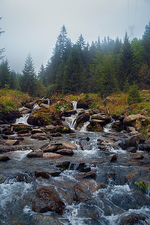 "Carpathian Mountains", "Fagaras Mountains", Romania, Transylvania, Transfăgărăşan, fog, mist, mountains, tree, evergreen, pine, river, water, stone, rocks, creek, stream, spring, forest, nature, land
