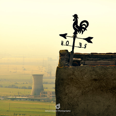 The Rooster Weathervane