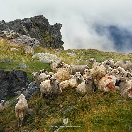 Rest Above the Clouds