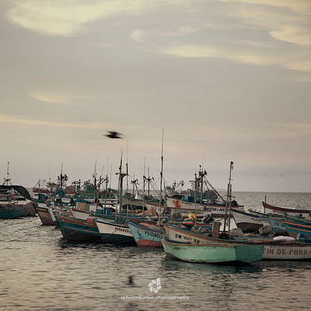 The Dock